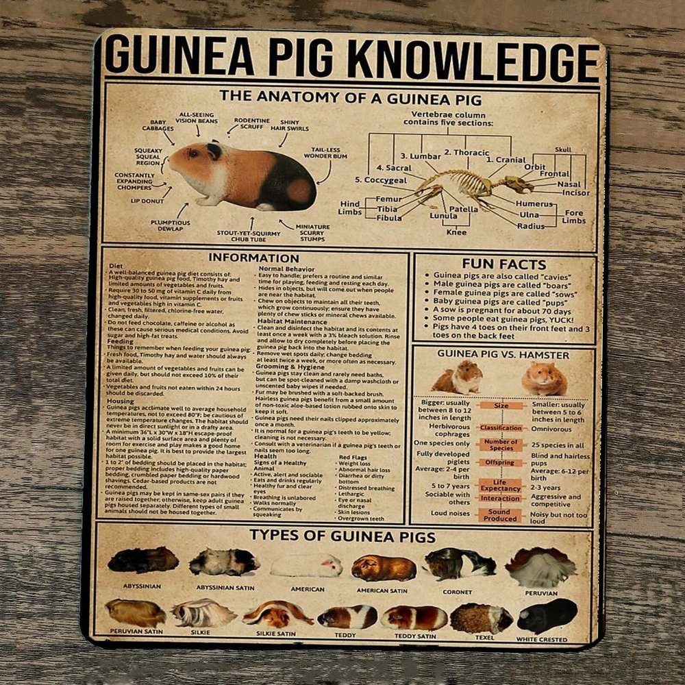 Mouse Pad Guinea Pig Knowledge